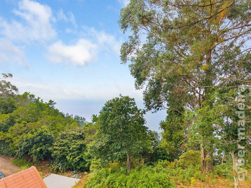 Terreno Outros para Venda