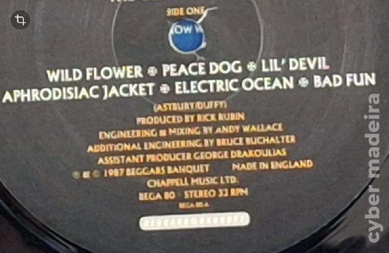 IRON MAIDEN - "Fear of The dark" (Vinil anos 90
