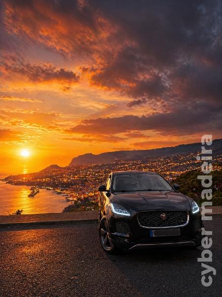JAGUAR F-PACE E-PACE Gasóleo