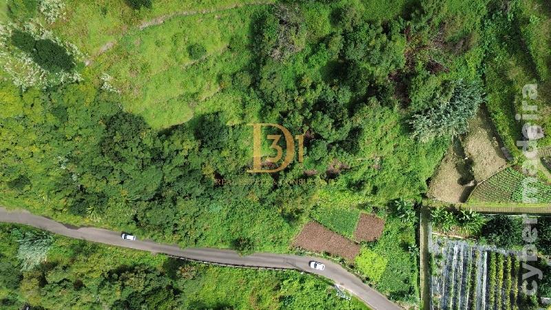 Terreno Outros para Venda