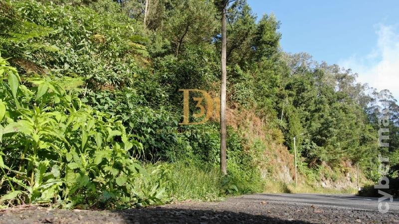Terreno Outros para Venda