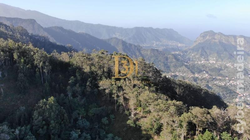 Terreno Outros para Venda