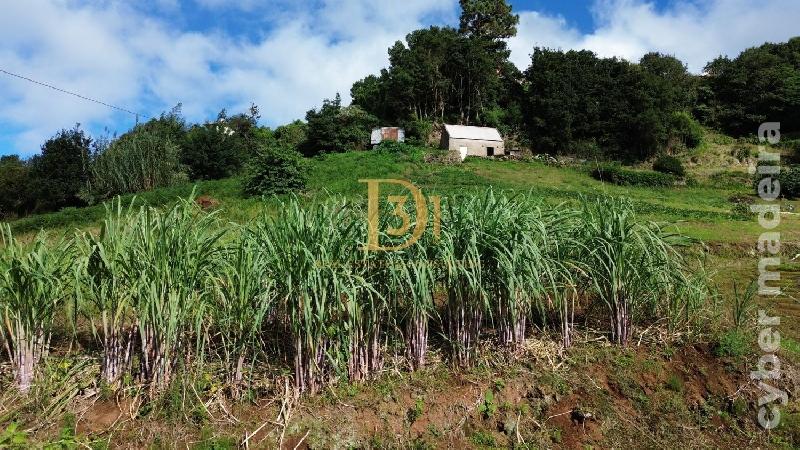 Terreno Outros para Venda