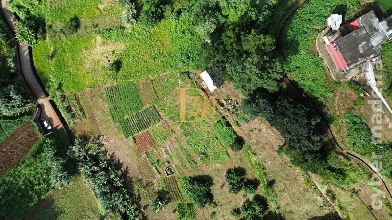 Terreno Outros para Venda