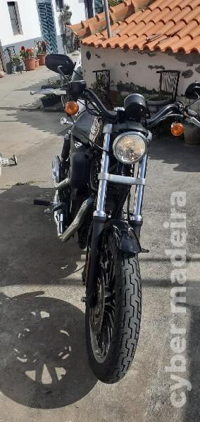Harley Davidson 883R 800 cc Sport, turismo
