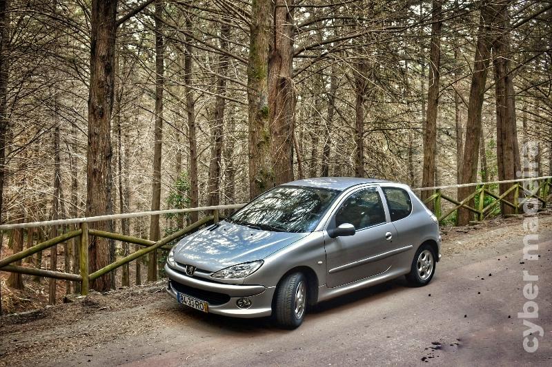 PEUGEOT 206 1.4 Gasolina