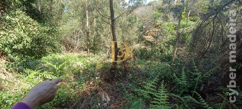 Terreno Outros para Venda