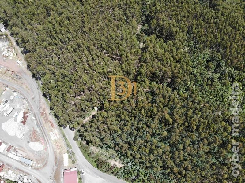 Terreno Outros para Venda