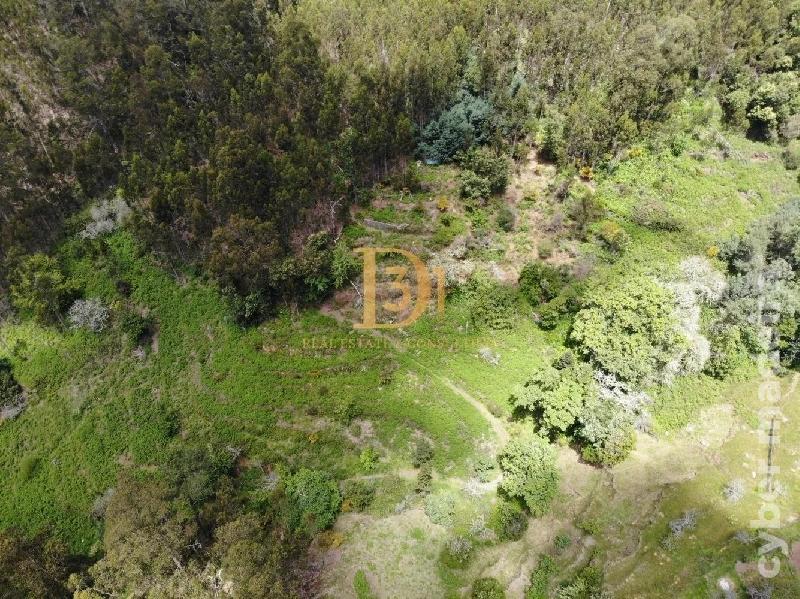 Terreno Outros para Venda