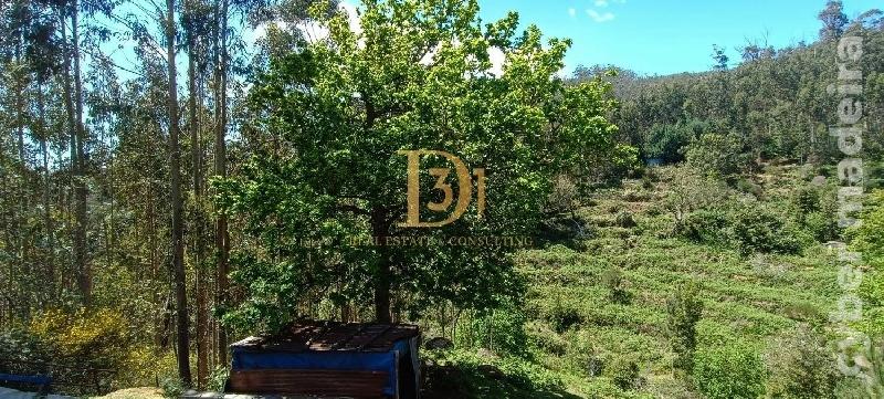 Terreno Outros para Venda