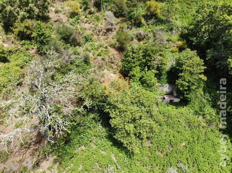 Terreno Outros para Venda