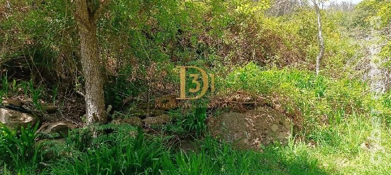 Terreno Outros para Venda