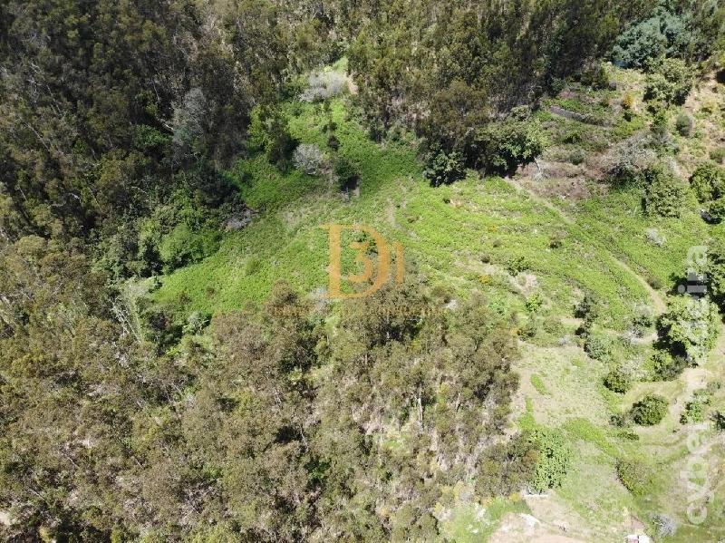 Terreno Outros para Venda