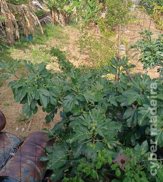 Terreno T4 para Venda