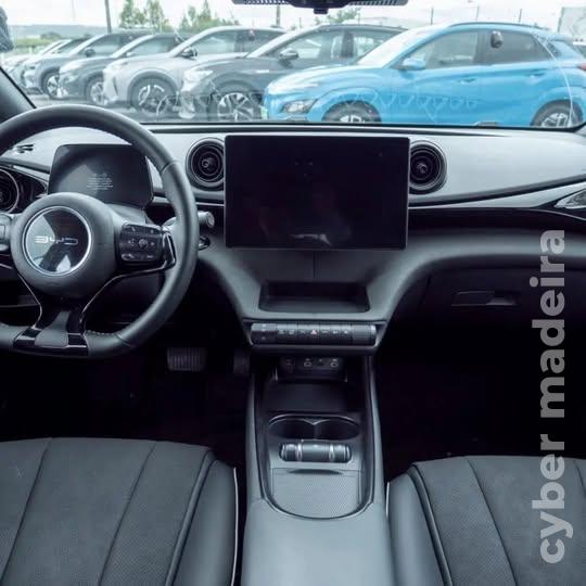 TESLA Model 3 BYD Dolphin Eléctrico