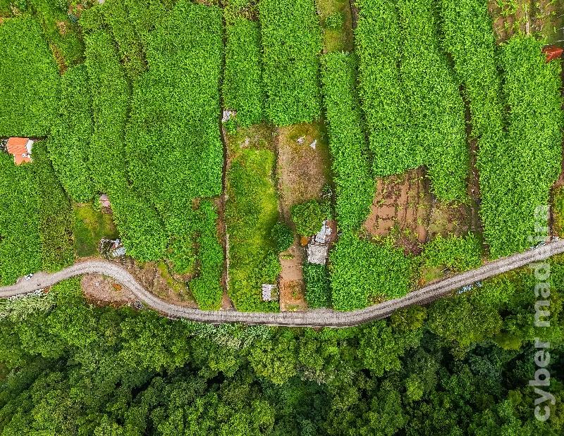 Terreno T3 para Venda