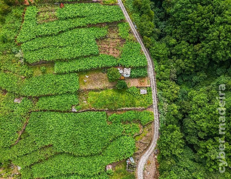 Terreno T3 para Venda