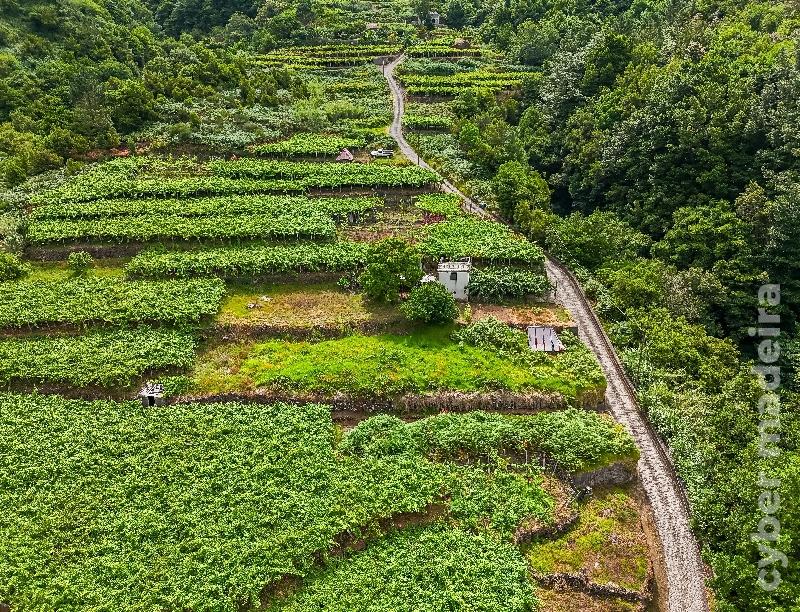 Terreno T3 para Venda