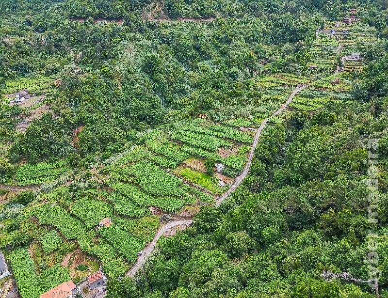 Terreno T3 para Venda