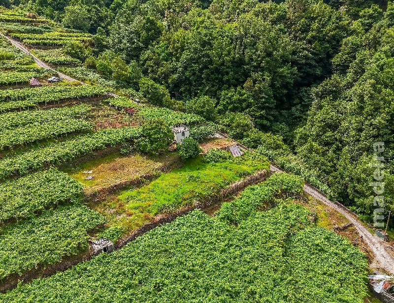 Terreno T3 para Venda
