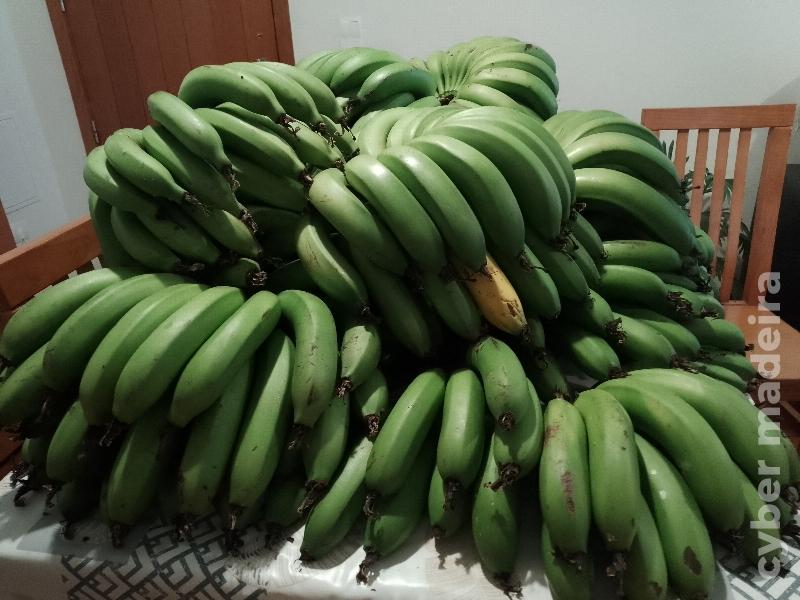 Vendo Bananas