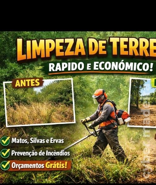 Limpeza de terrenos e espaços exteriores – Madeira