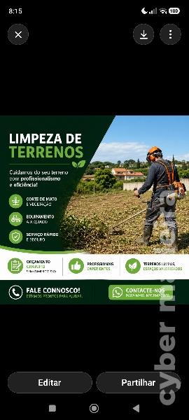 Limpeza de terrenos e espaços exteriores – Madeira