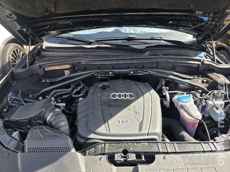 AUDI Q5 2.0 TDi QUATTRO Gasóleo