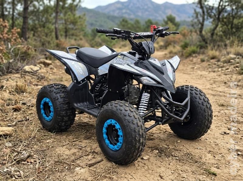 Moto 4