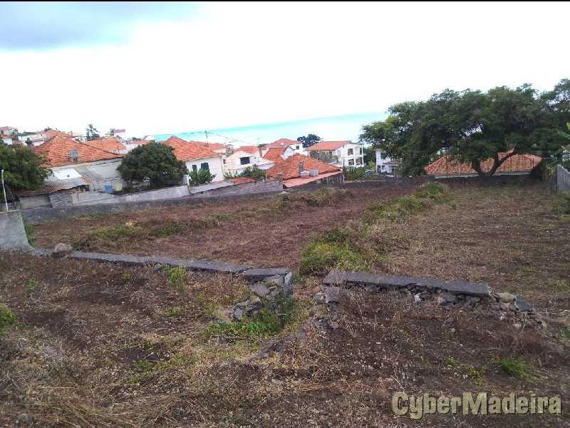Limpeza de terrenos e jardinagem