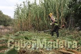 Limpeza de terrenos