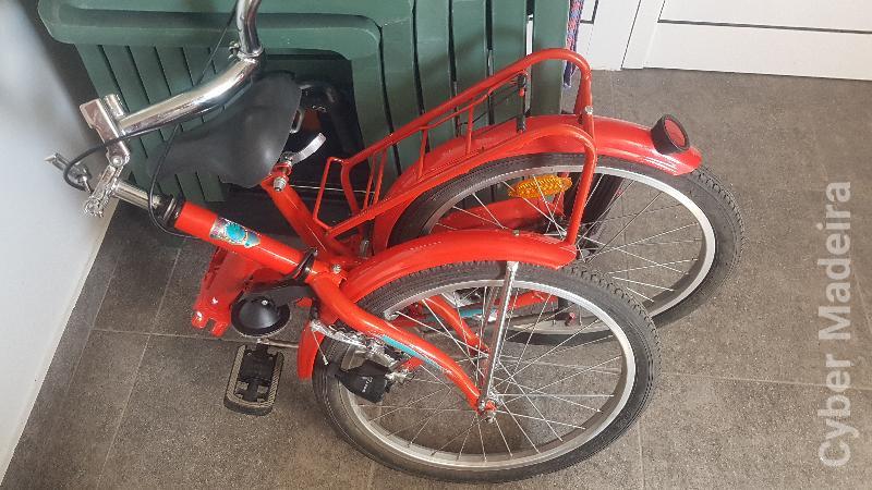 Bicicleta dobrável Outros Homem Bicicleta dobrável
