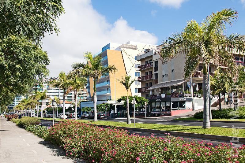 Apartamento T2 para Venda São Martinho, Estrada Monumental