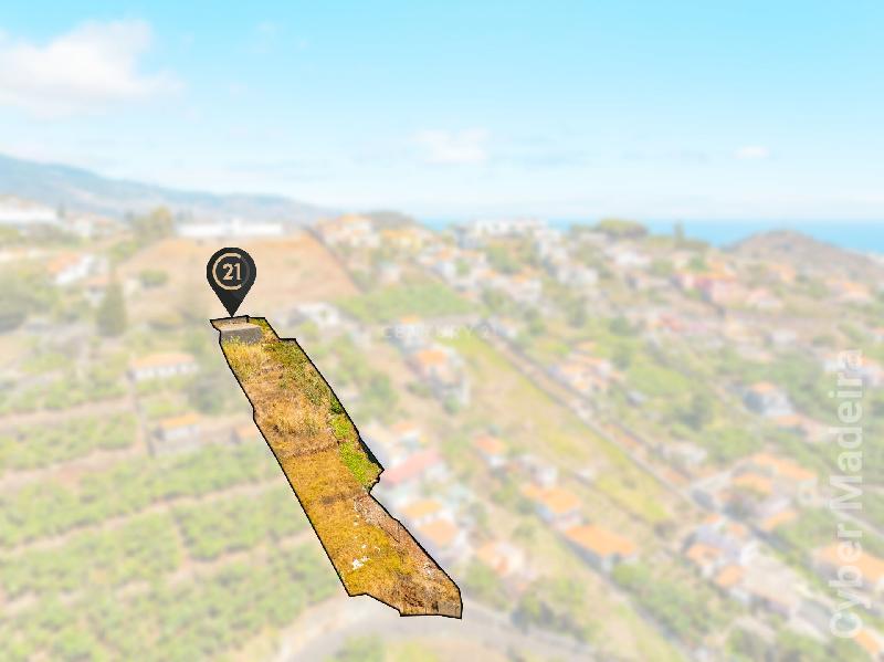 Terreno Outros para Venda São Martinho, Santa Rita