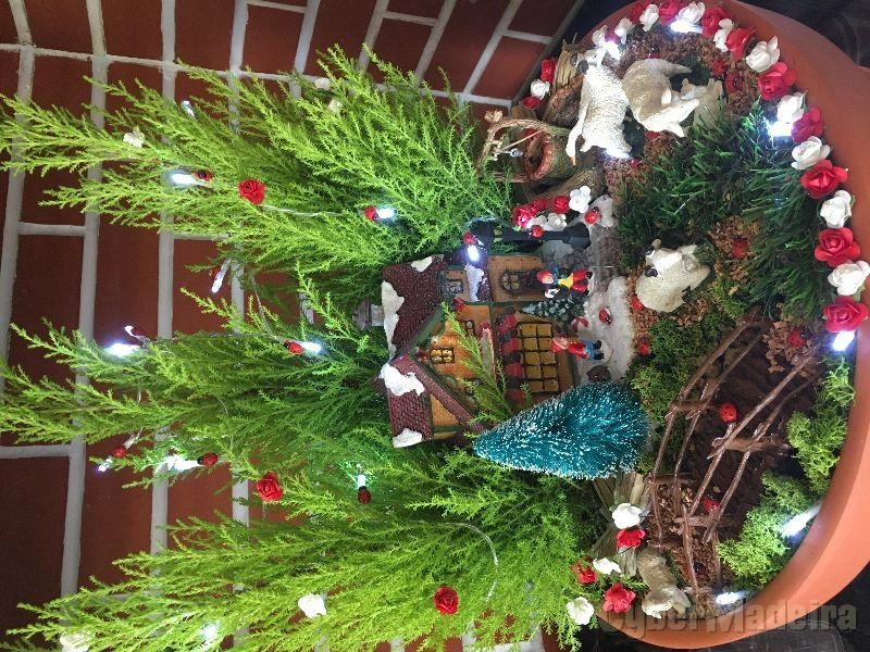 NATAL Aldeia de Natal em miniatura
