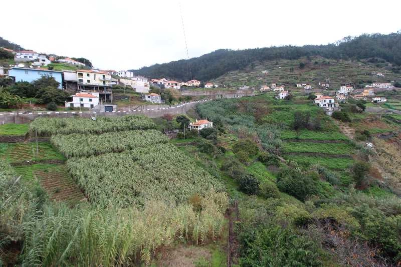 Moradia T2 para Venda Campanário, Centro