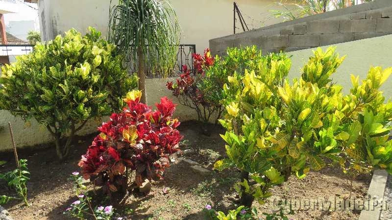 Moradia T4 para Venda Câmara de Lobos, Ribeiro de Alforra