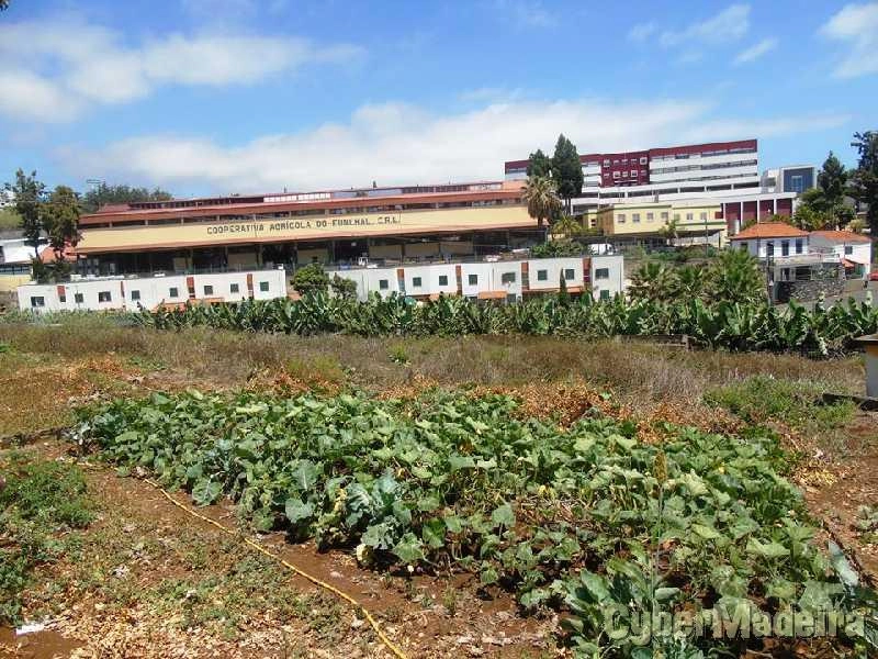 Moradia T6 para Venda São Martinho, Santa Rita