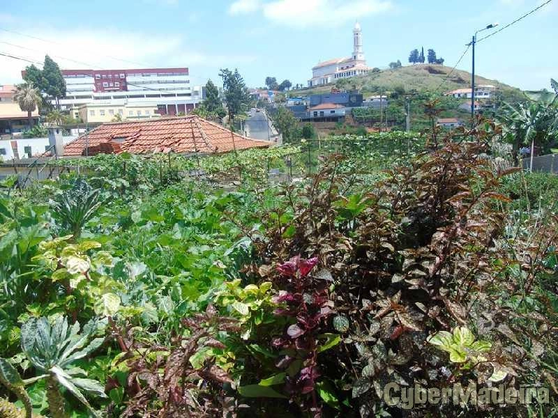 Moradia T6 para Venda São Martinho, Santa Rita