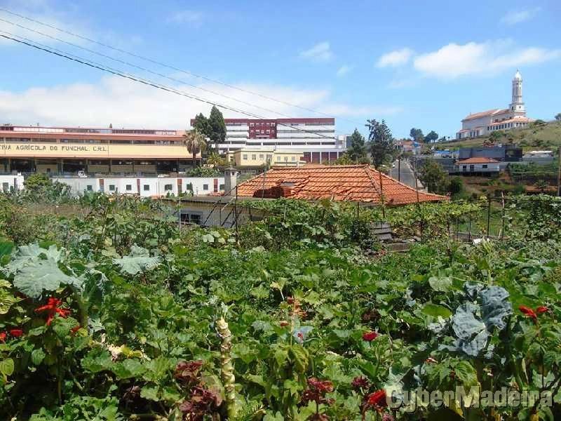 Moradia T6 para Venda São Martinho, Santa Rita