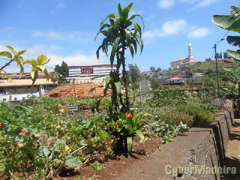 Moradia T6 para Venda São Martinho, Santa Rita