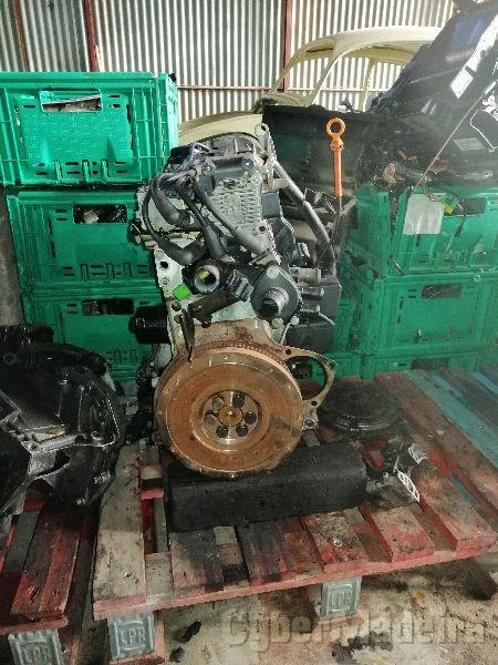 Volkswagen Motor Volkswagen Polo 1.4 75cvGasóleo 75