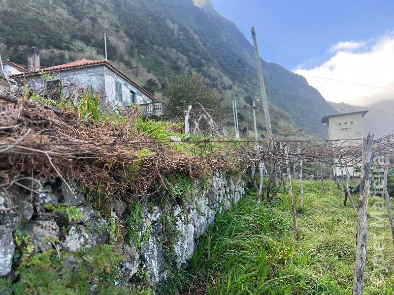 Moradia T3 para Venda São Vicente, Centro
