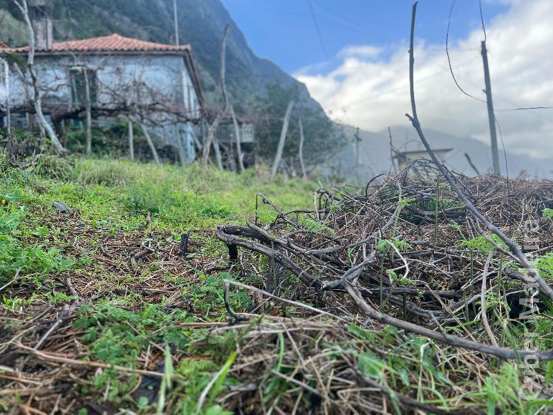 Moradia T3 para Venda São Vicente, Centro