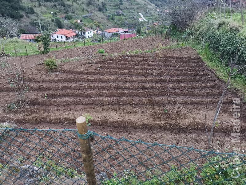 Moradia T2 para Venda São Vicente, Lanço