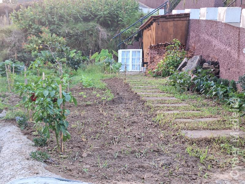 Moradia T2 para Venda São Vicente, Lanço