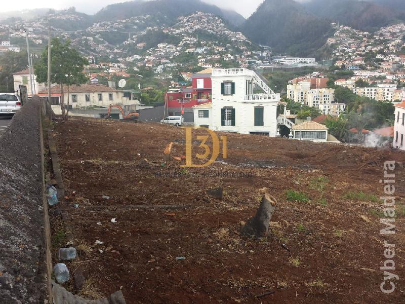 Terreno Outros para Venda Santo António, Centro