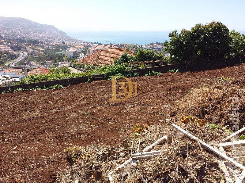 Terreno Outros para Venda Santo António, Centro