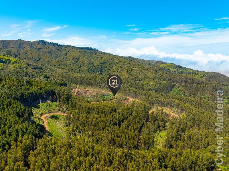 Terreno Outros para Venda Santo António da Serra, Centro