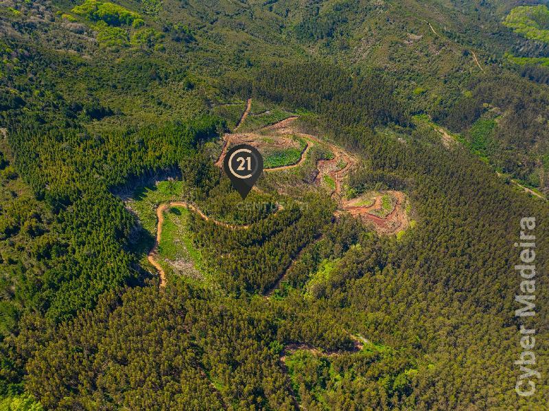Terreno Outros para Venda Santo António da Serra, Centro